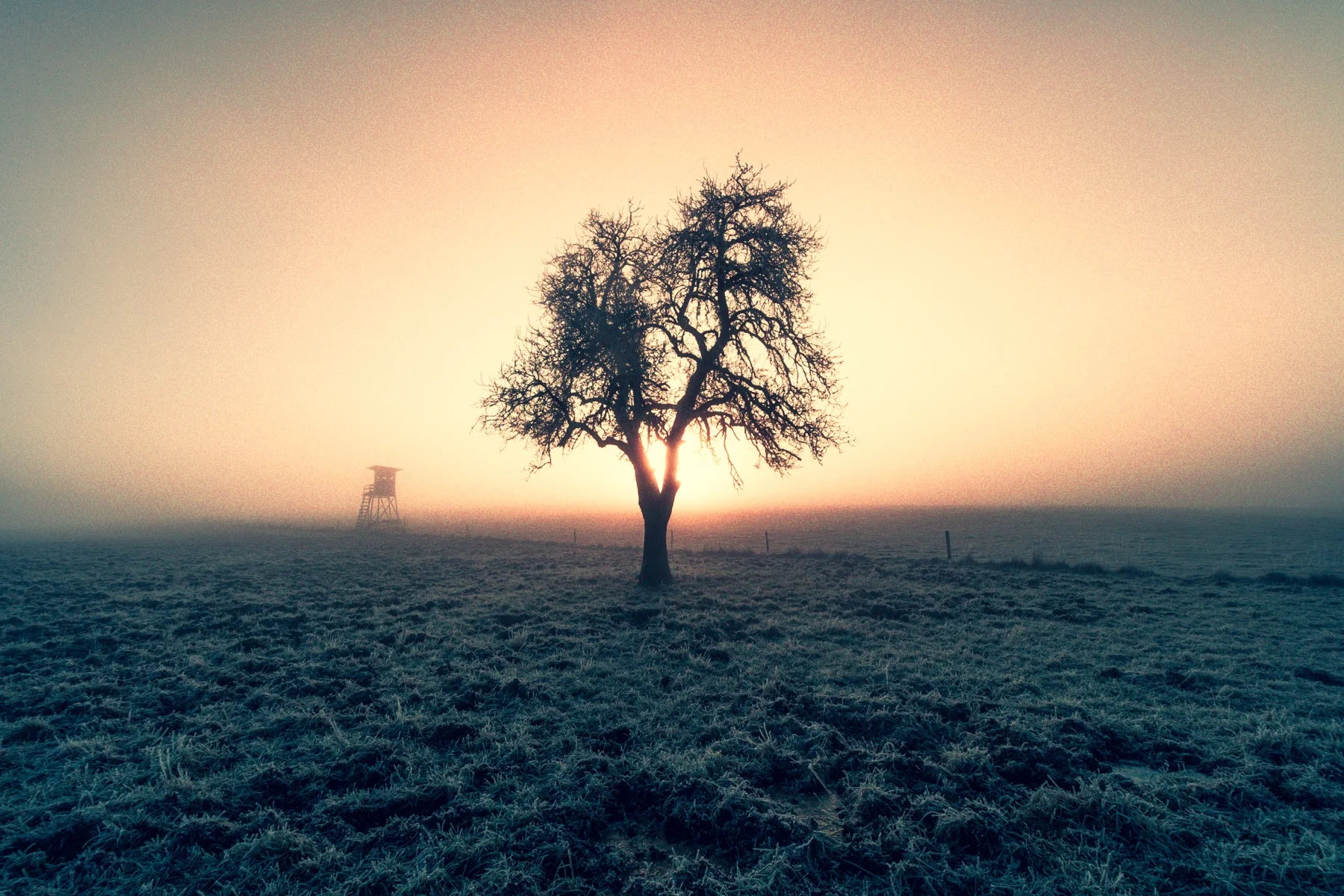 Natur II