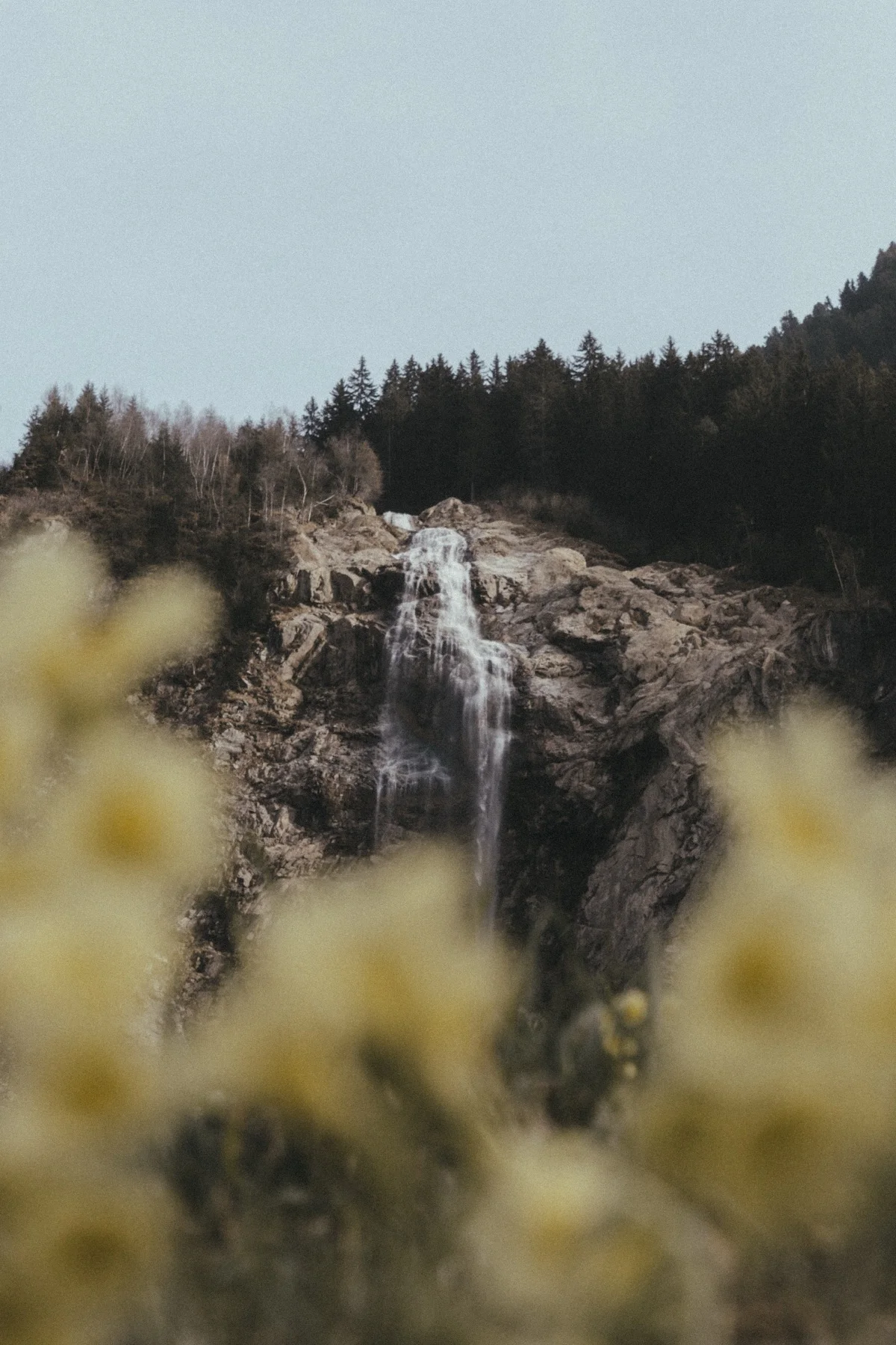 Natur III