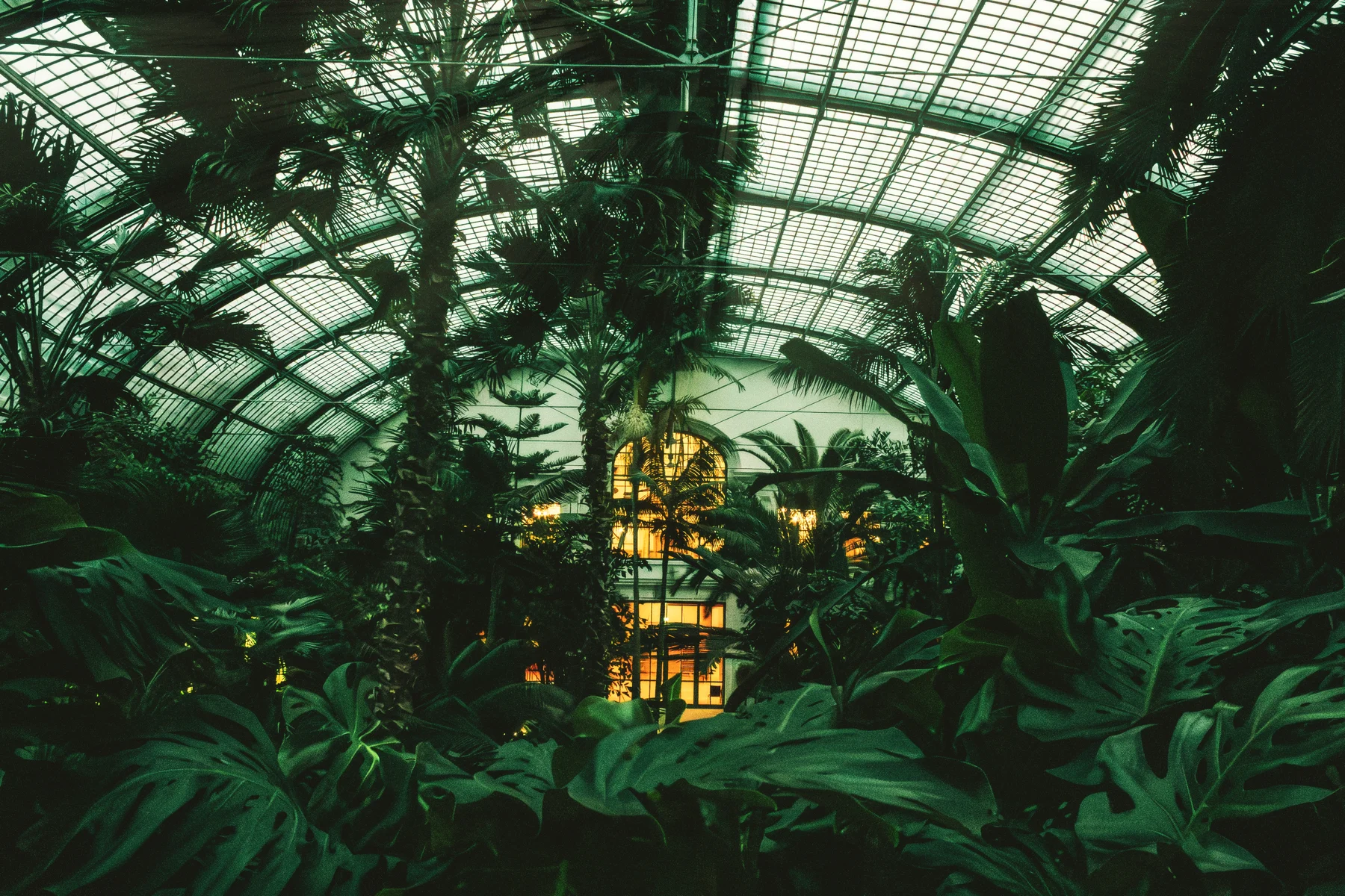 Natur VII