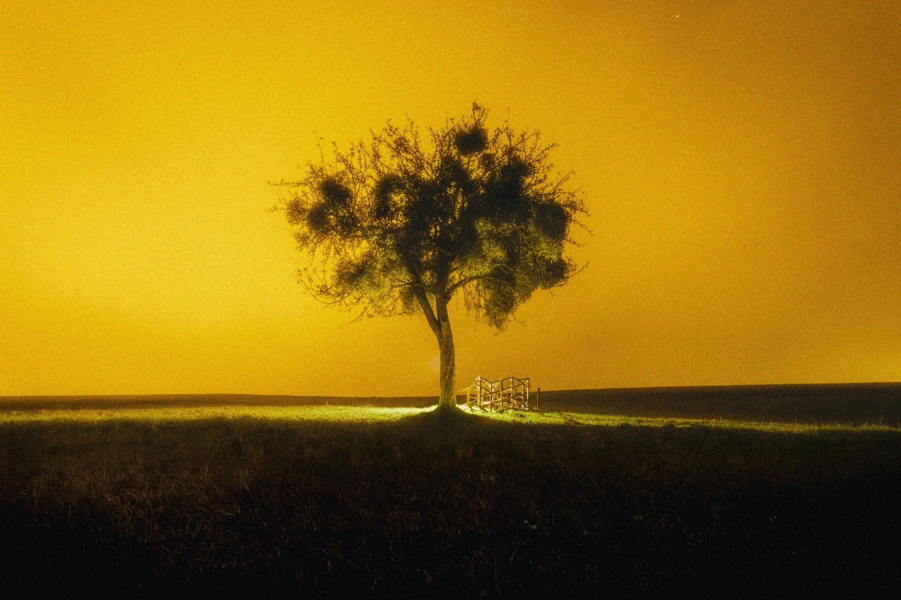 Natur XI